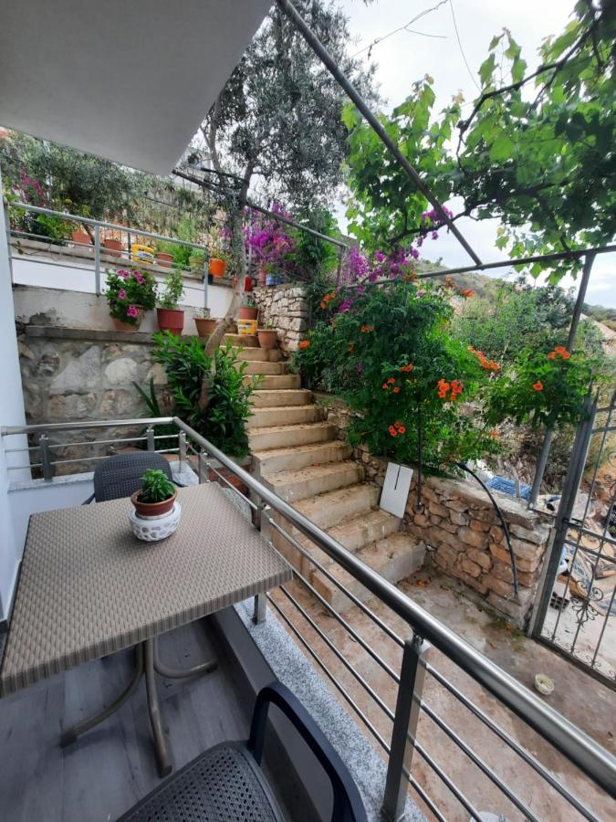 Nora'S Guesthouse Sarandë 외부 사진