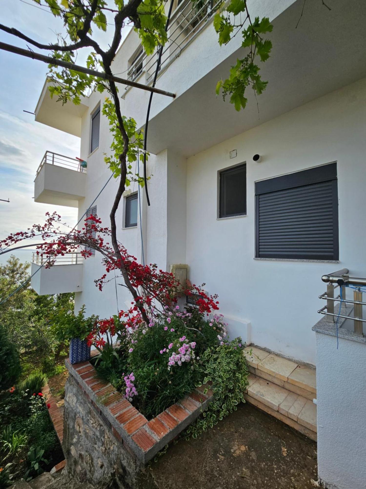 Nora'S Guesthouse Sarandë 외부 사진