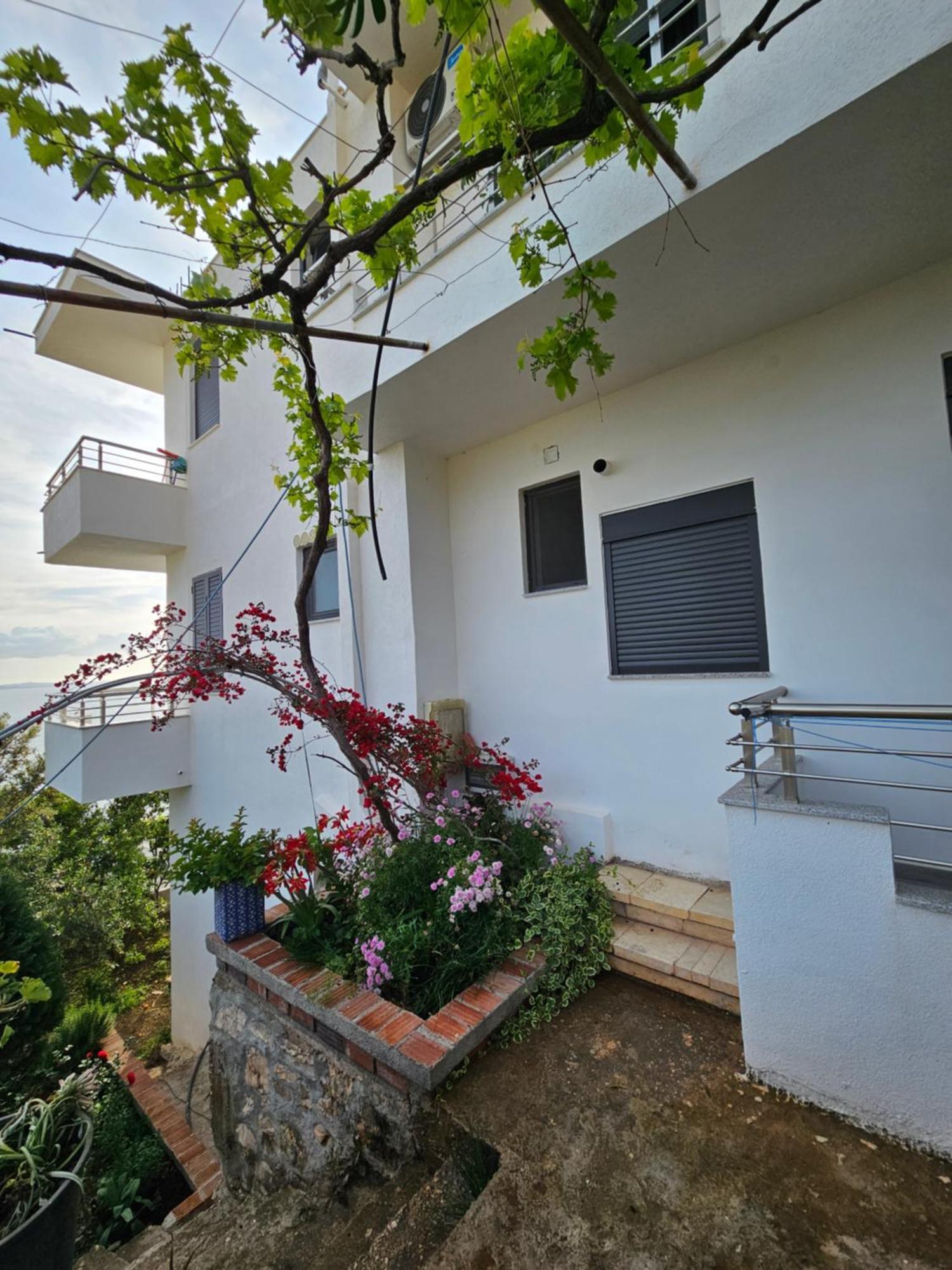Nora'S Guesthouse Sarandë 외부 사진