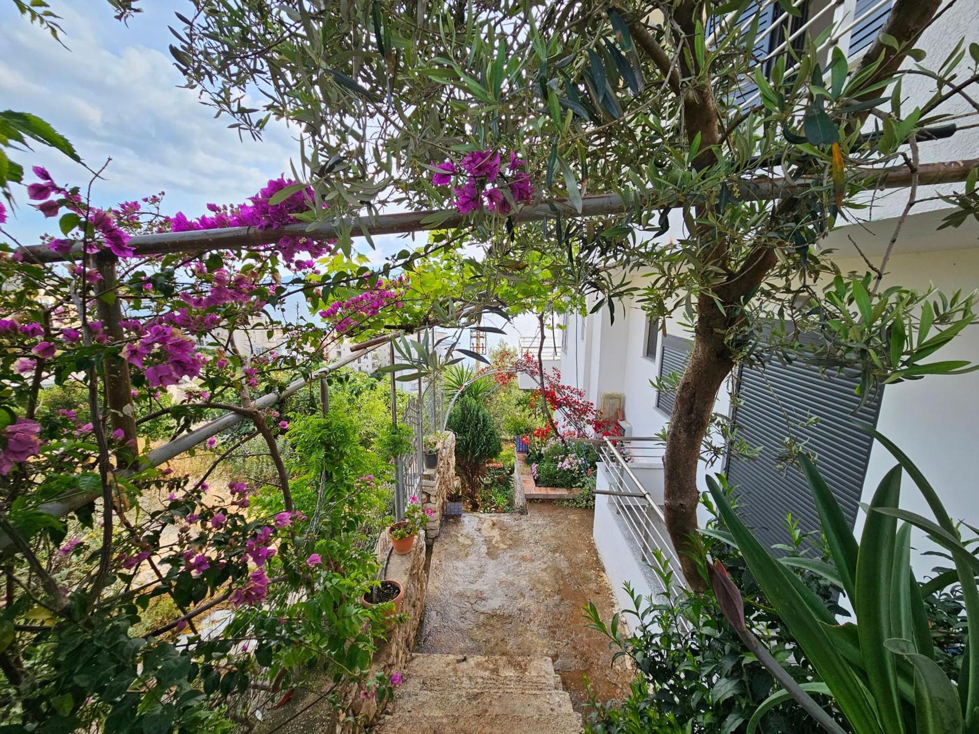 Nora'S Guesthouse Sarandë 외부 사진