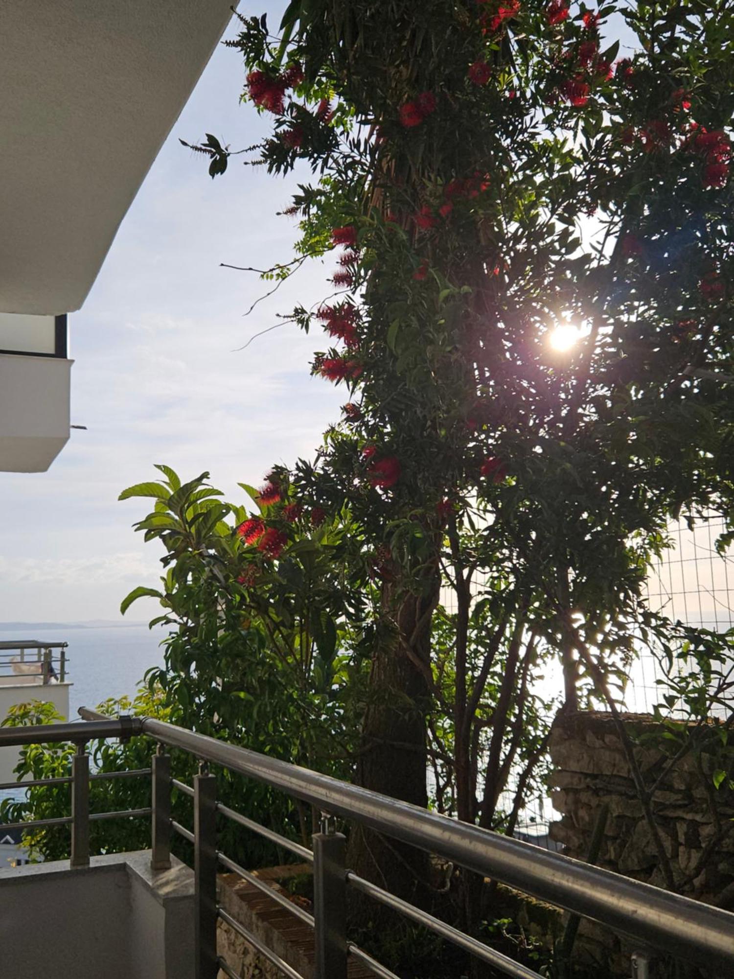 Nora'S Guesthouse Sarandë 외부 사진