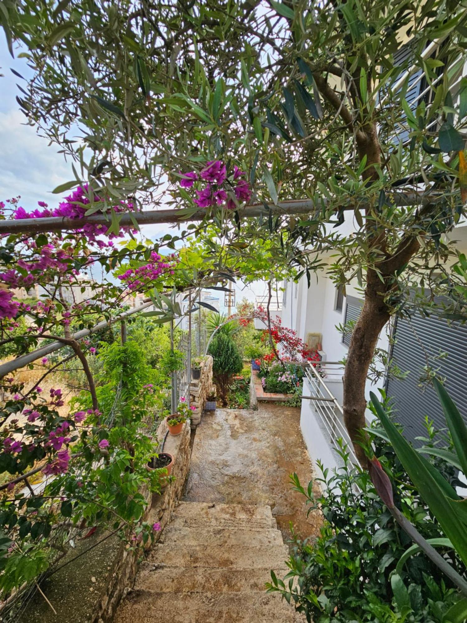 Nora'S Guesthouse Sarandë 외부 사진