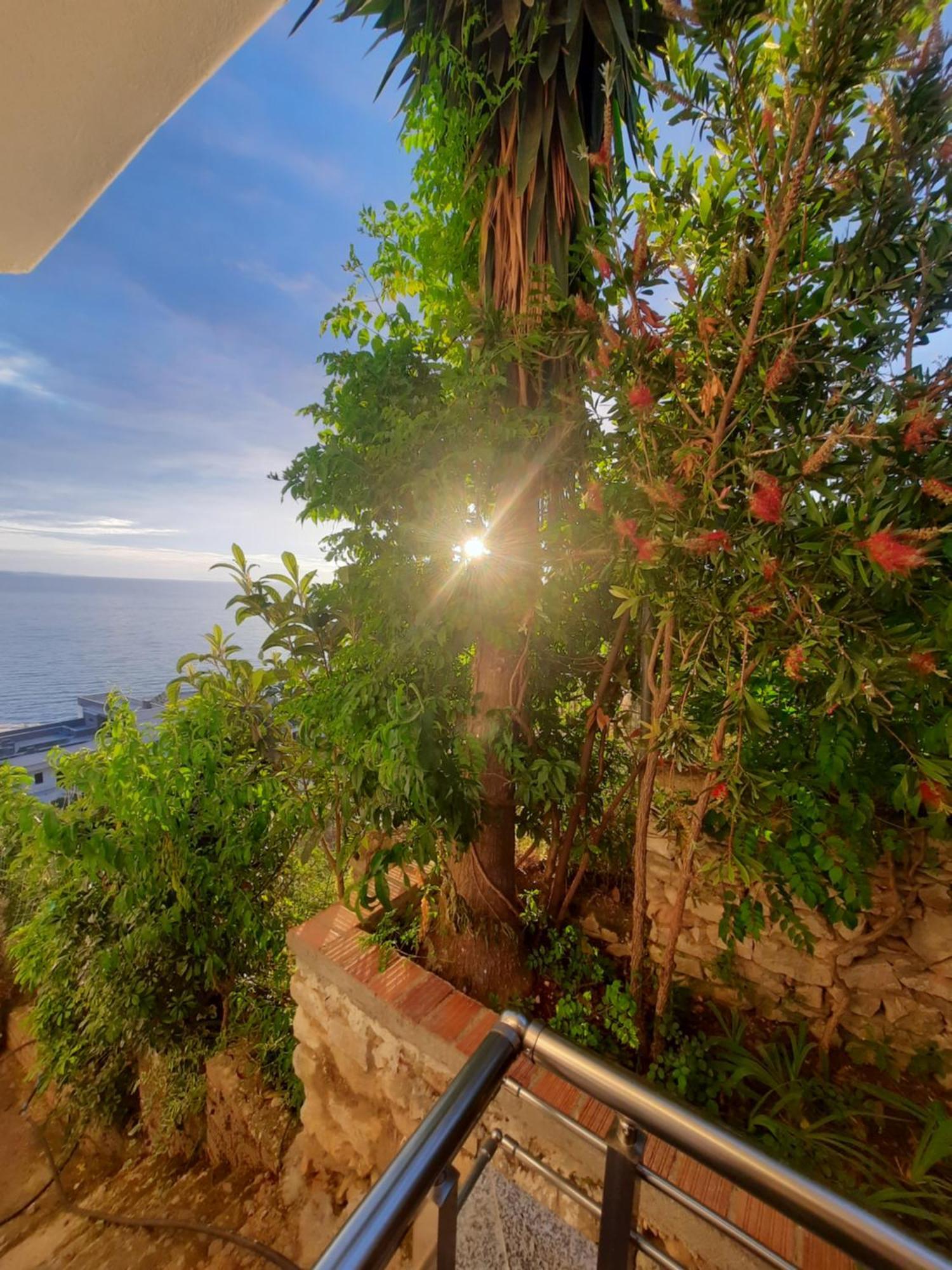 Nora'S Guesthouse Sarandë 외부 사진